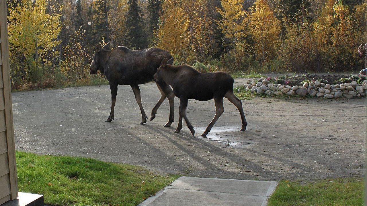 Photo of Outdoor in Gateway