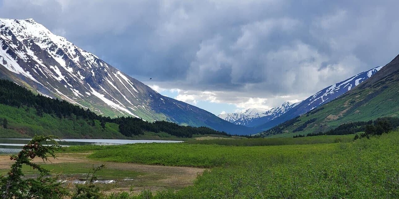 Photo of Others in Kenai
