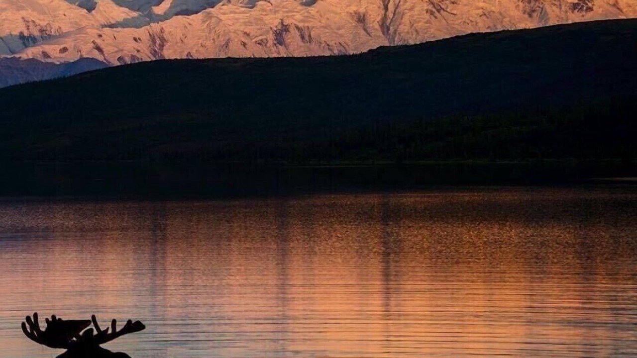 Photo of Others in Kenai