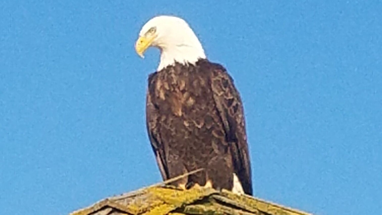Photo of Others in Kenai