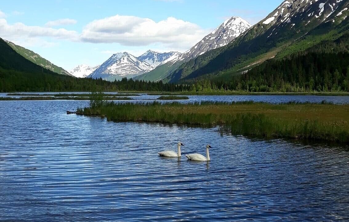 Photo of Outdoor in Kenai