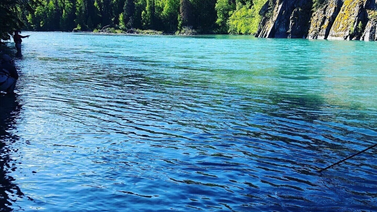 Photo of Others in Kenai