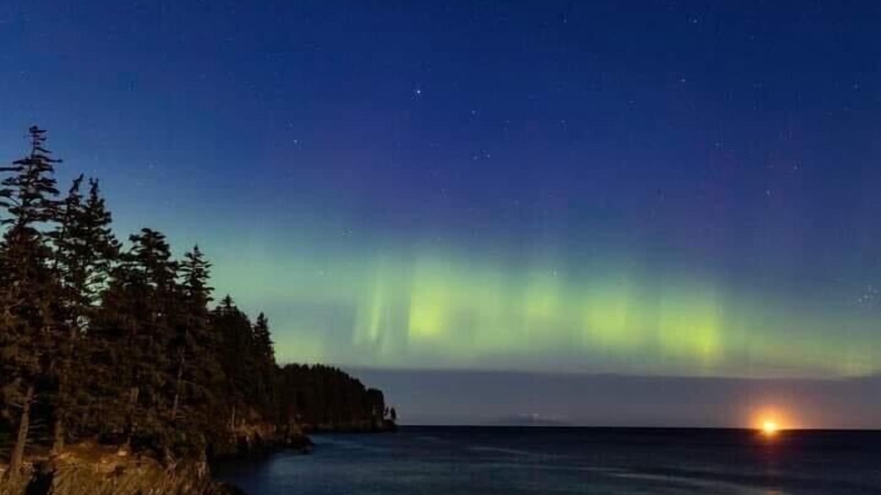 Photo of Others in Kenai