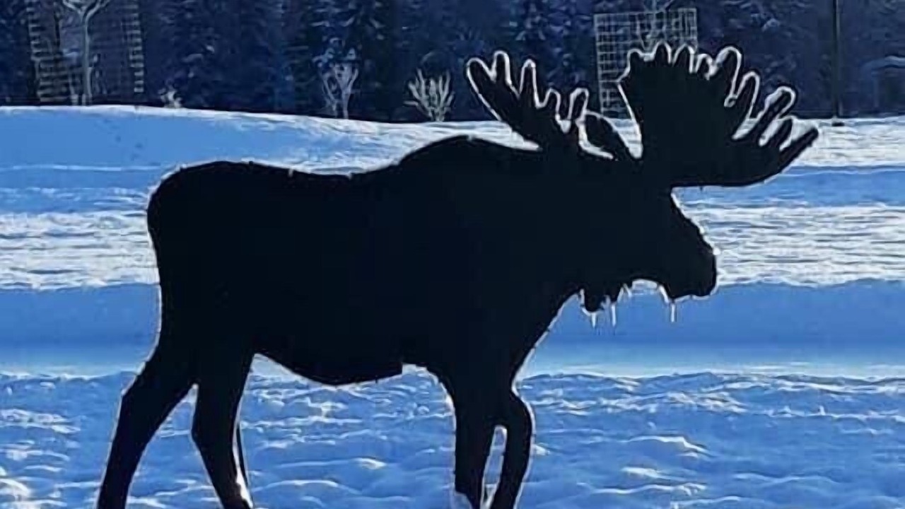 Photo of Others in Kenai