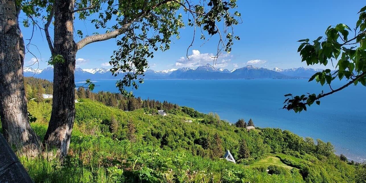 Photo of Others in Kenai