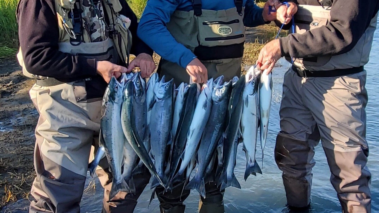 Photo of Others in Kenai