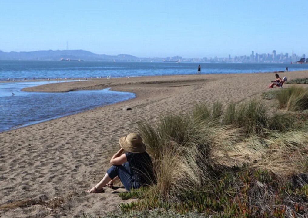 Photo of Others in Alameda