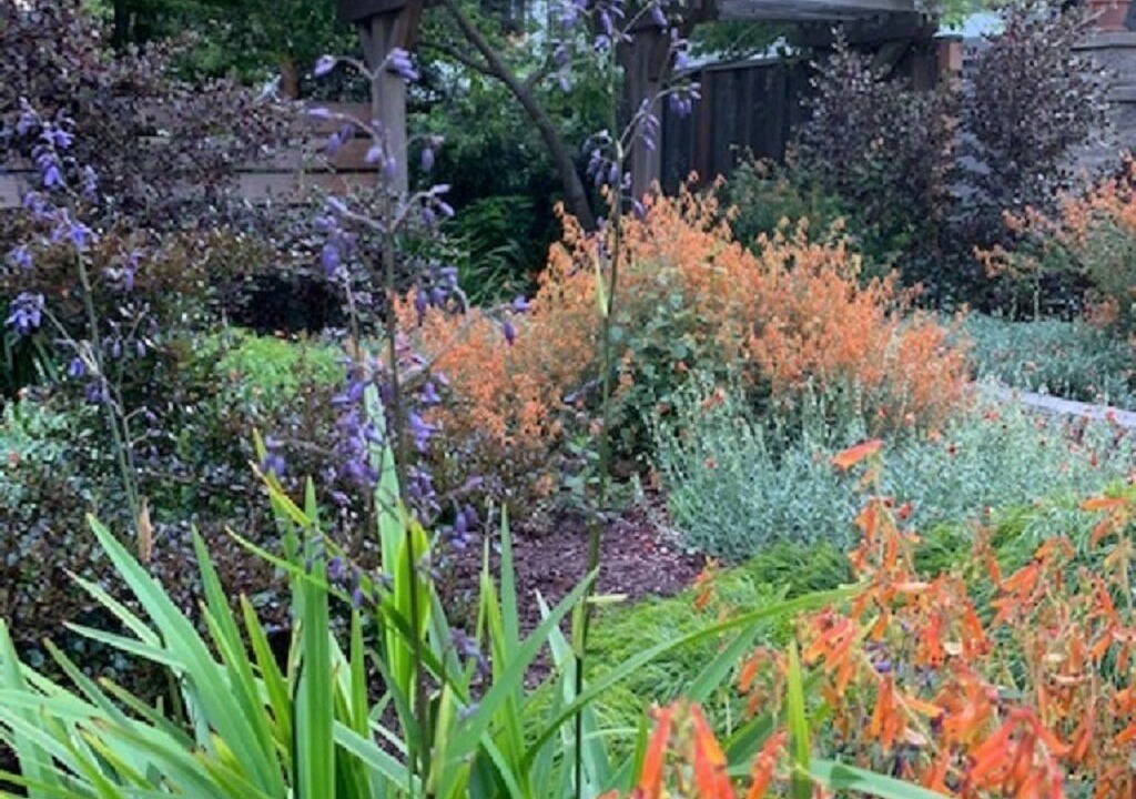Photo of Outdoor in Alameda