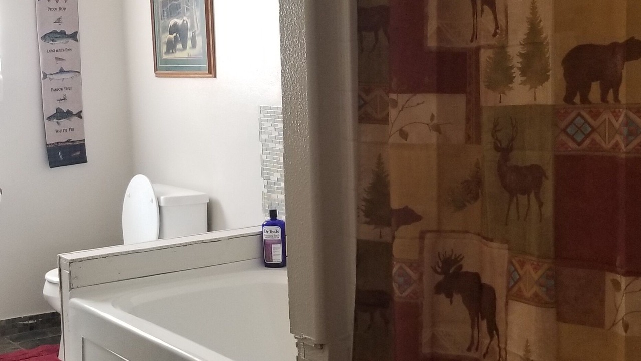 Photo of Bathroom in Soldotna