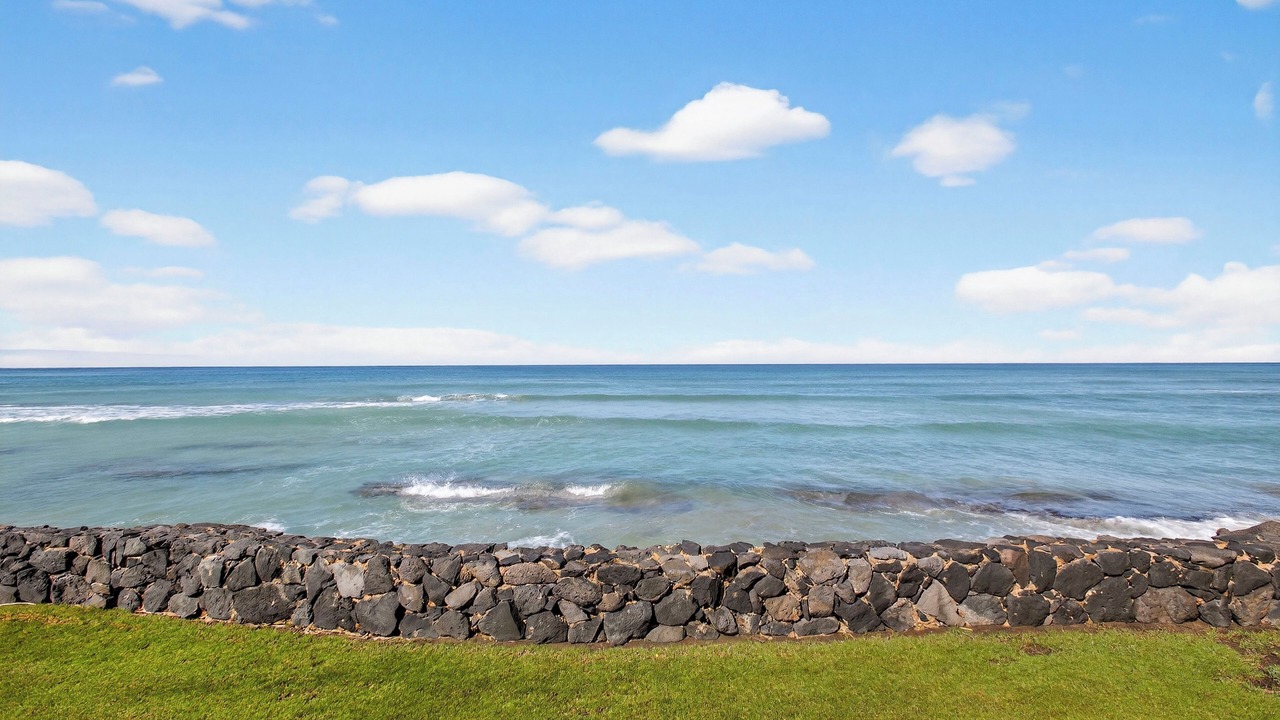 Photo of Others in Honokowai