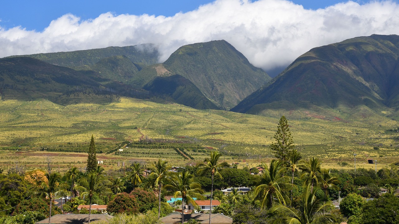 Photo of Outdoor in Historic Lahaina Front Street