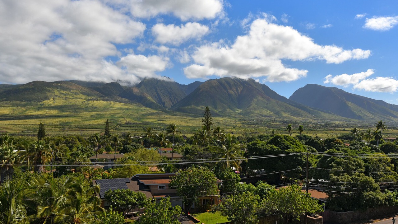 Photo of Others in Historic Lahaina Front Street