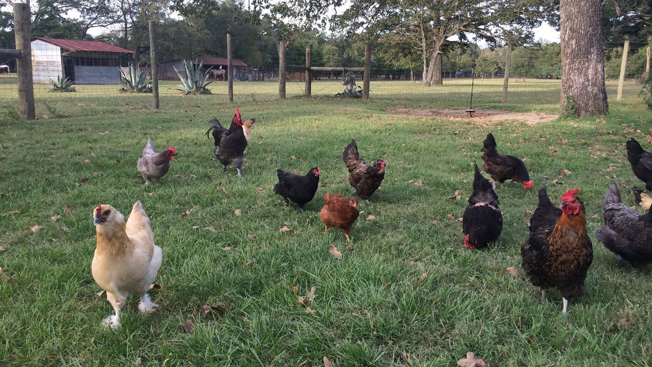 Photo of Others in Bryan