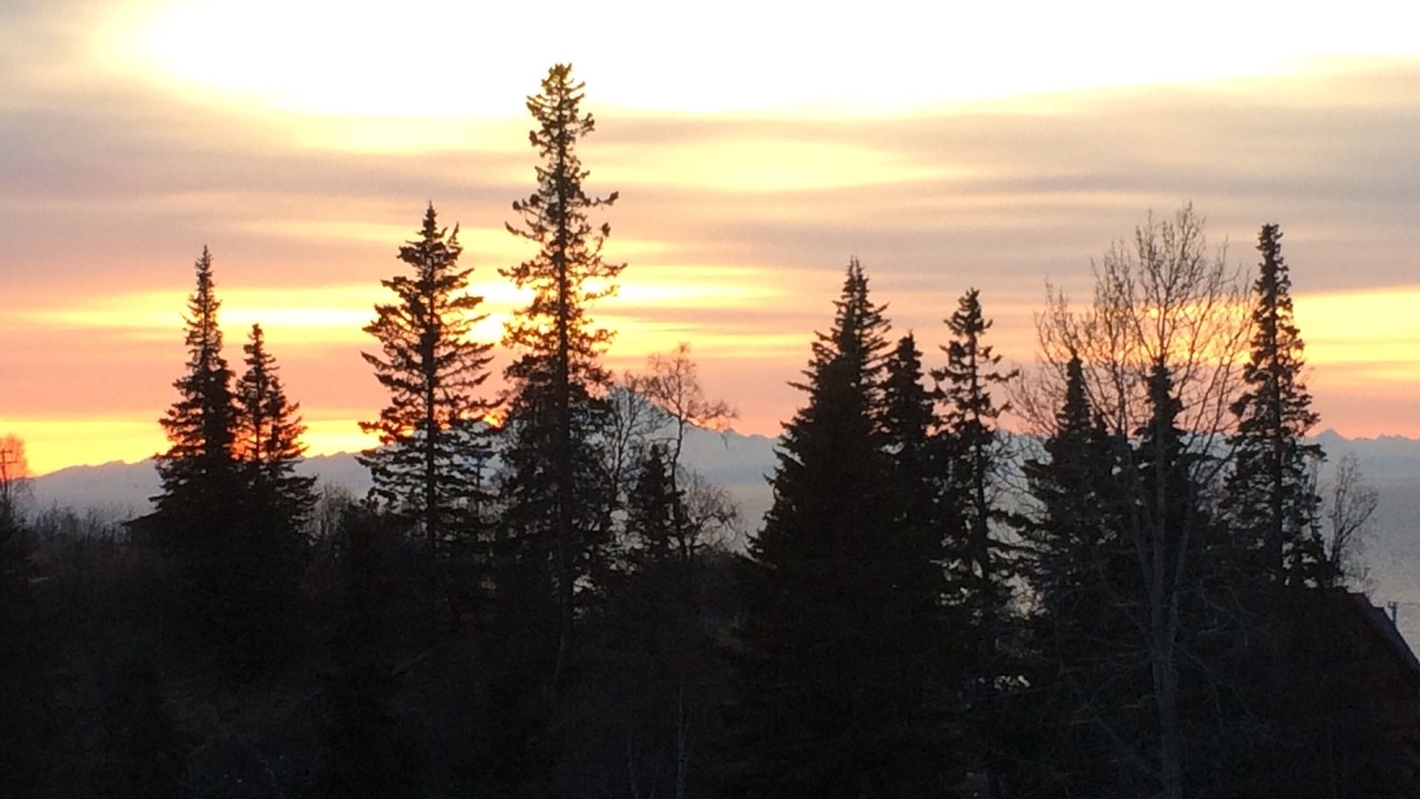 Photo of Others in Cohoe