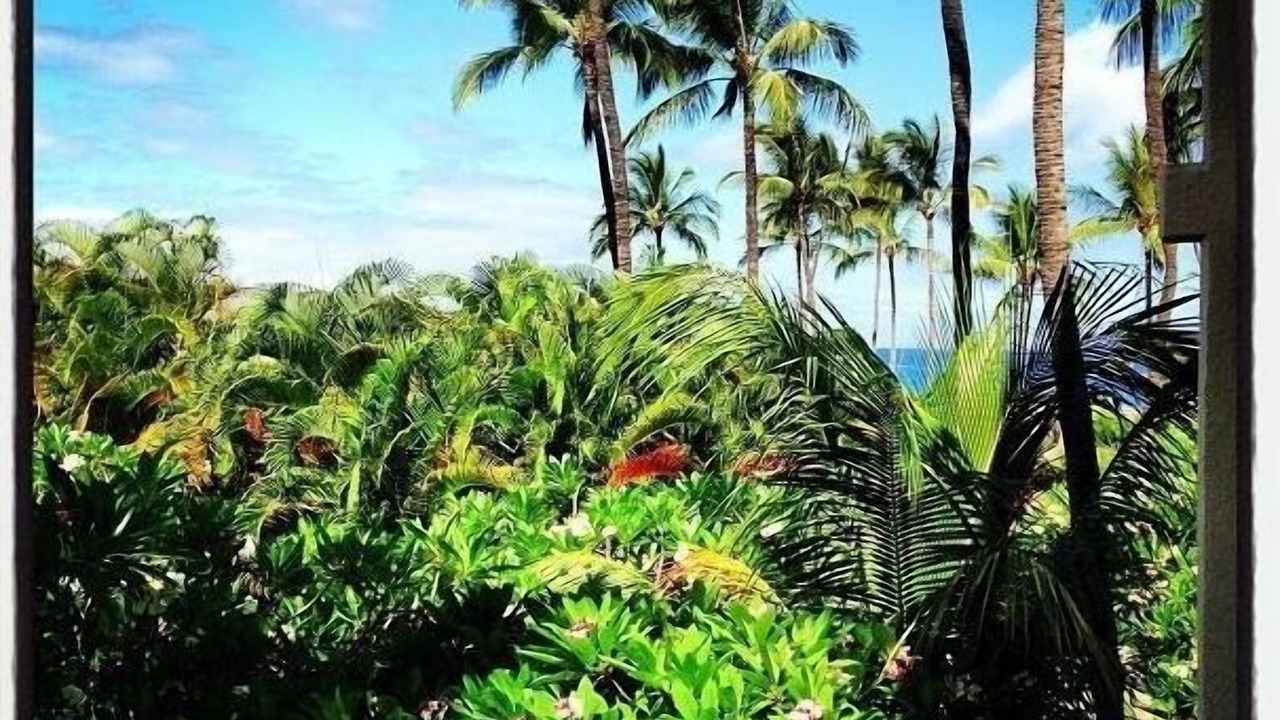 Photo of Others in Kihei