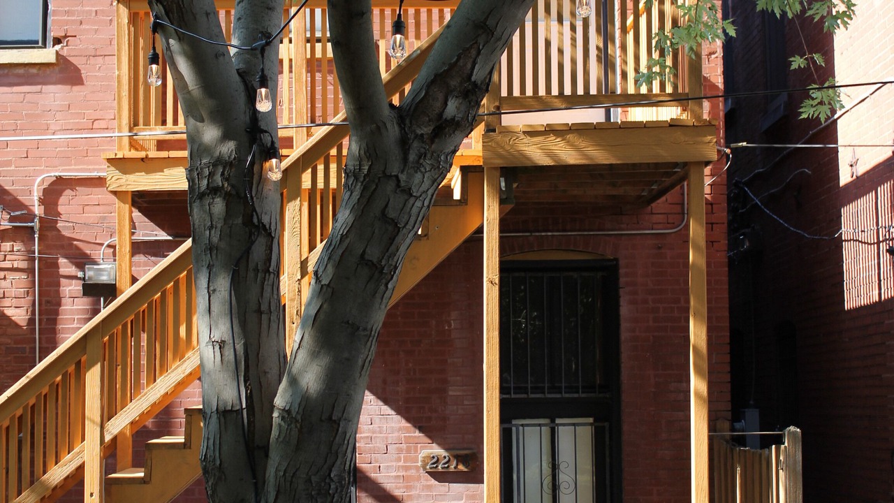Photo of Outdoor in St. Louis