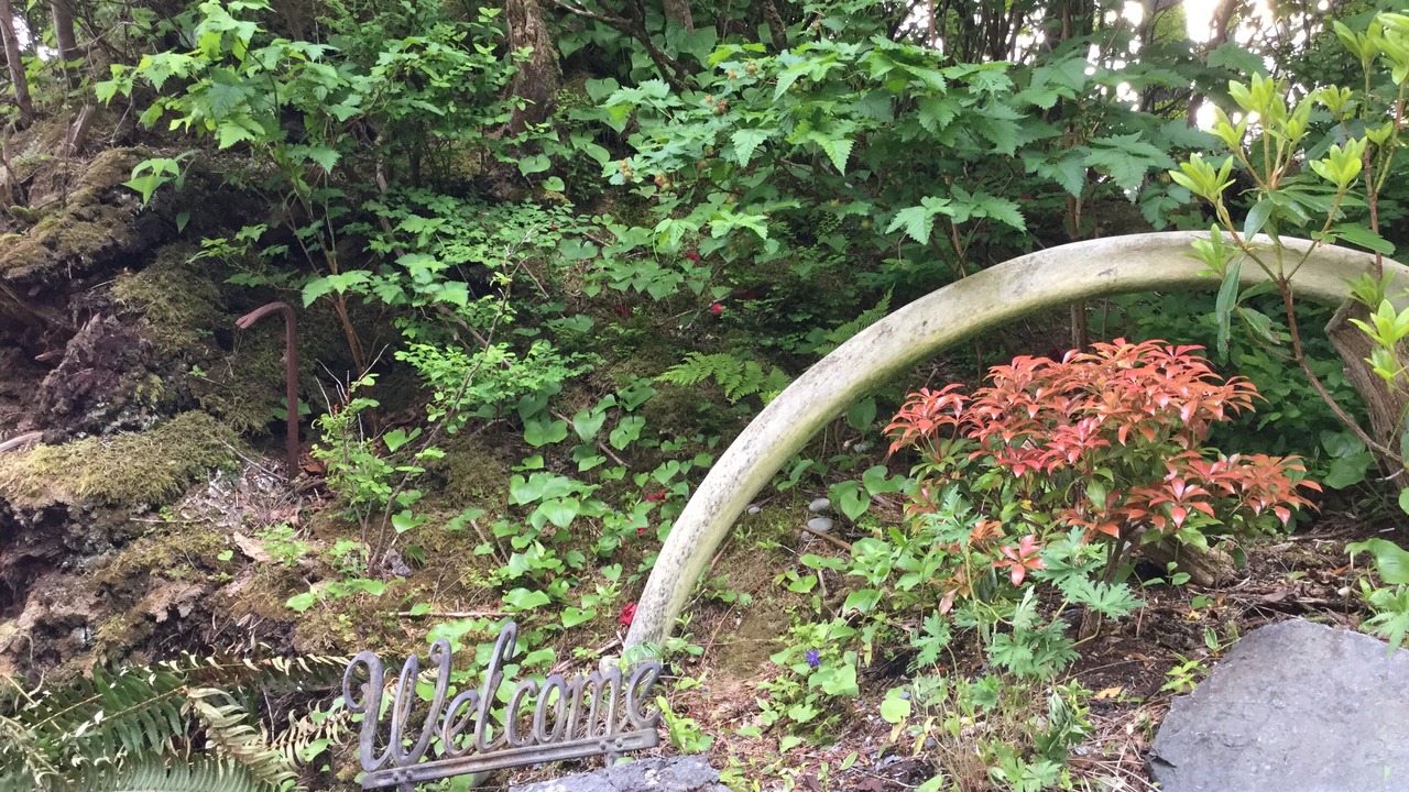 Photo of Others in Sitka