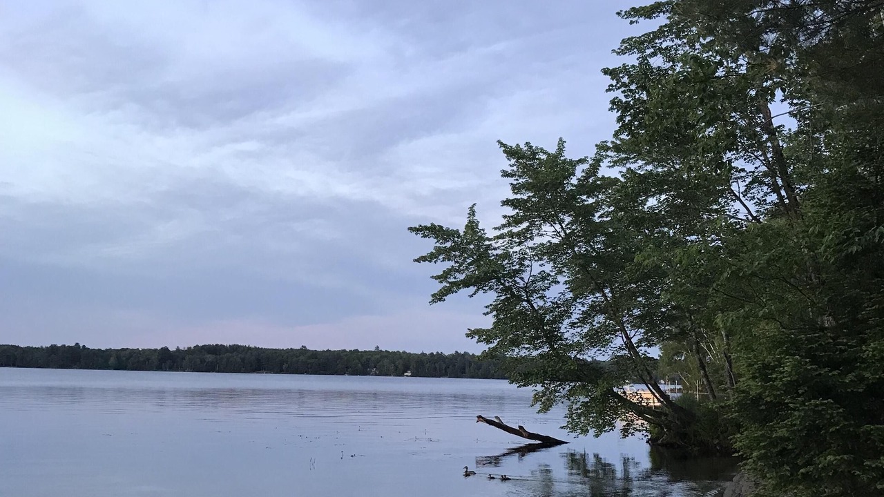 Photo of Outdoor in Madison