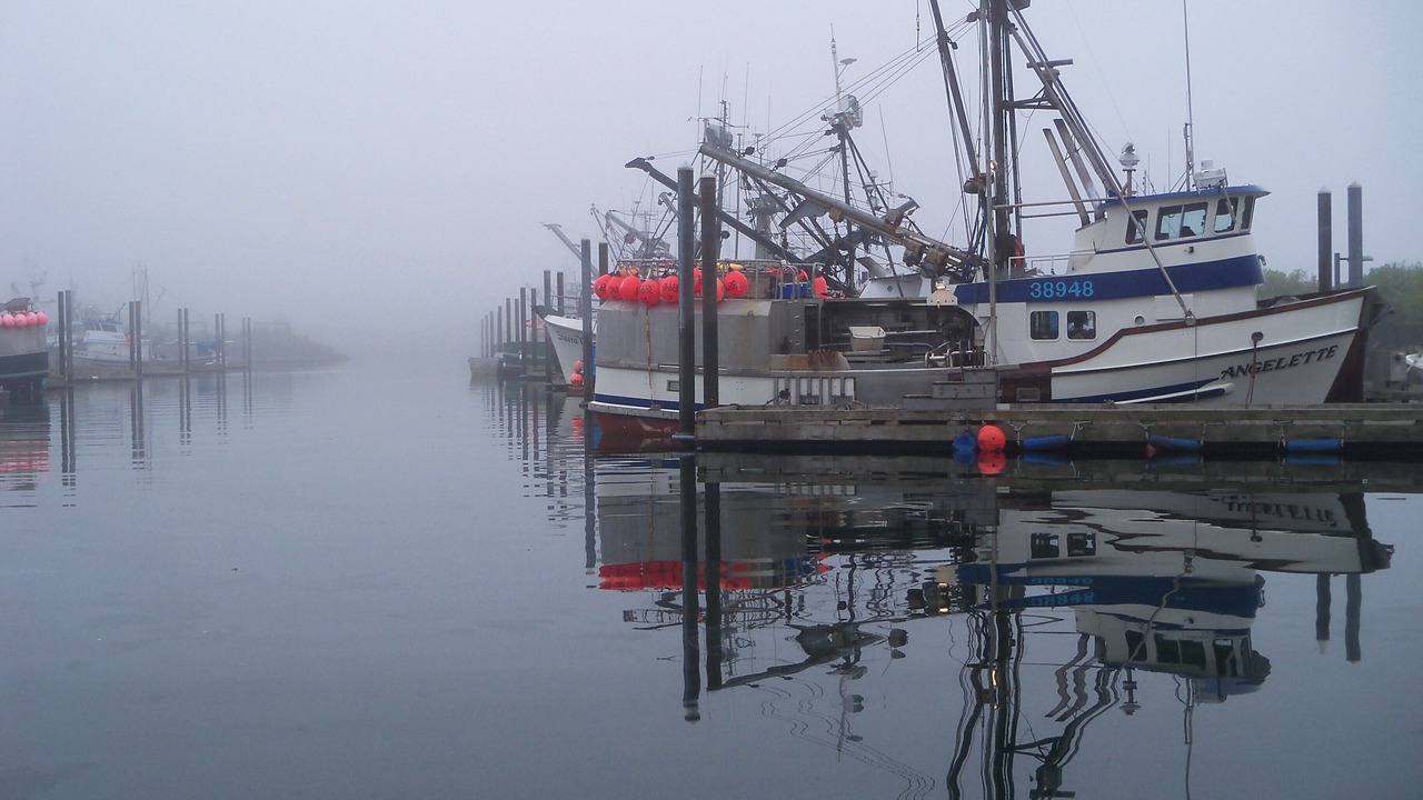 Photo of Others in Kodiak