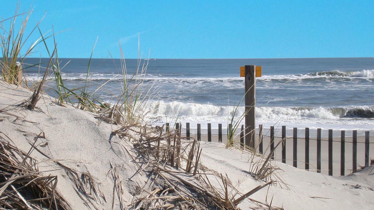 Photo of Others in North Ocean City