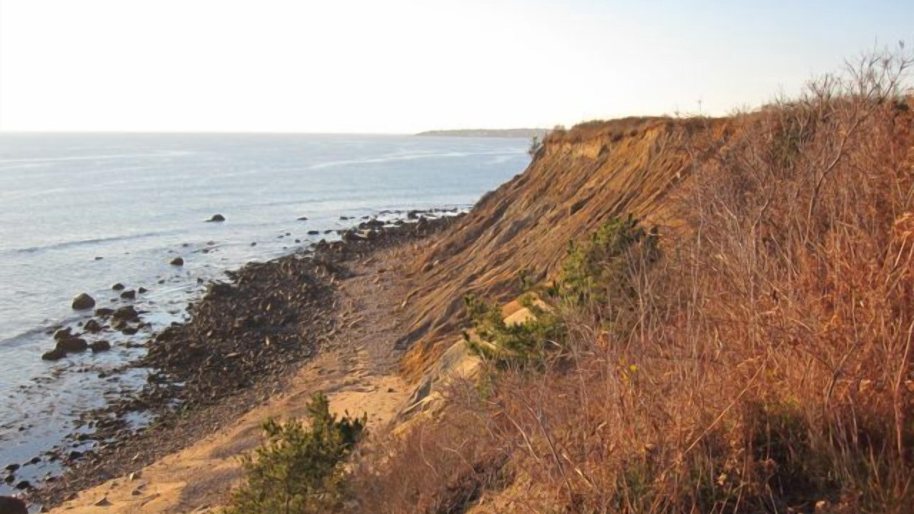 Photo of Outdoor in New Shoreham