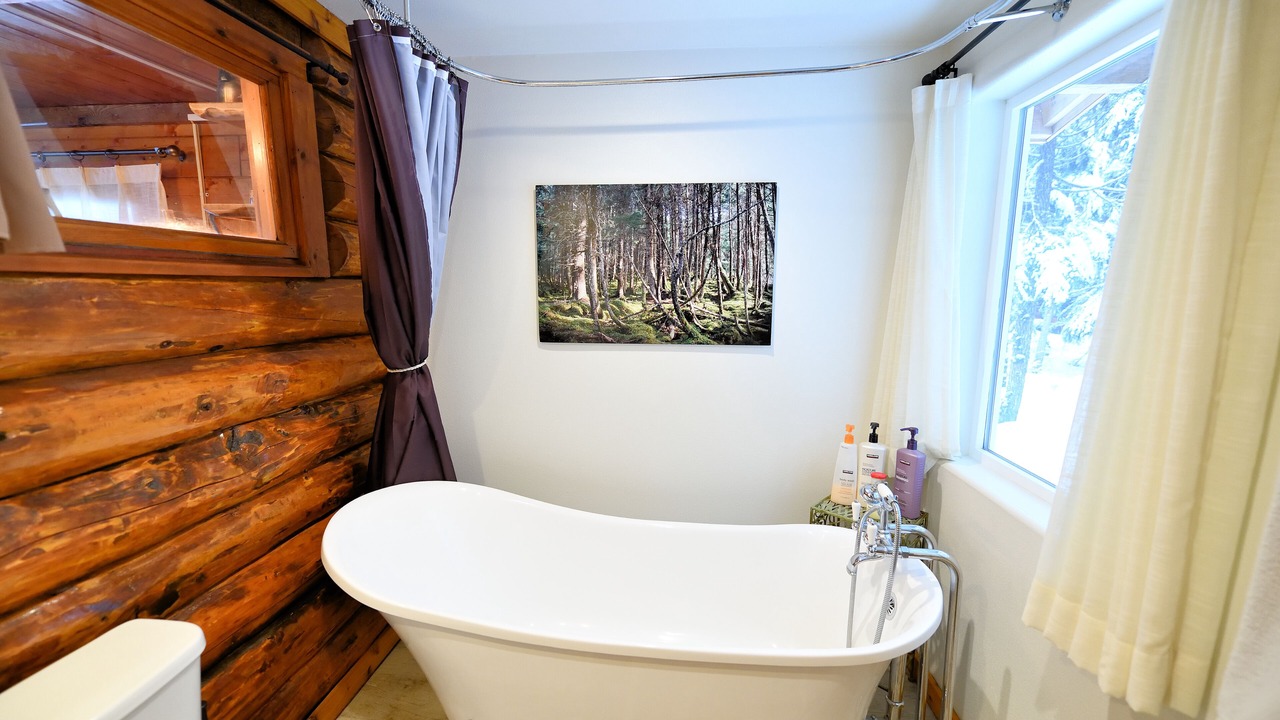 Photo of Bathroom in Girdwood