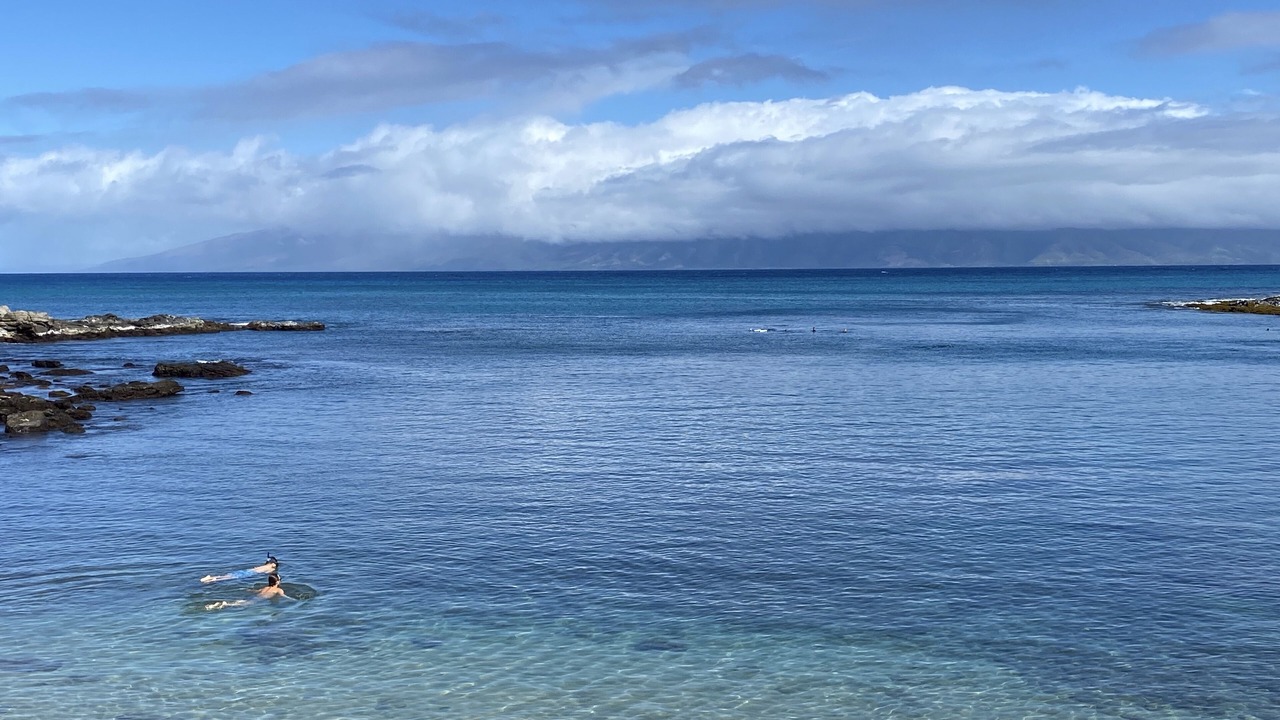 Photo of Others in Napili