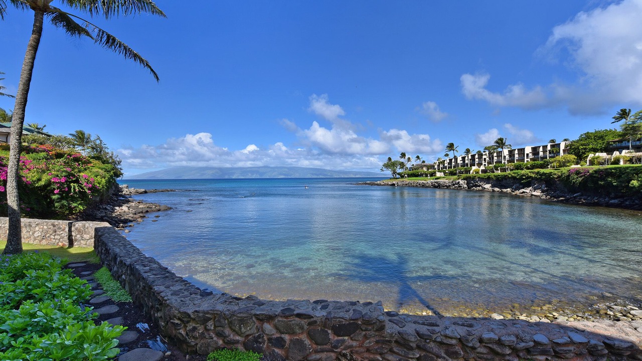 Photo of Others in Napili