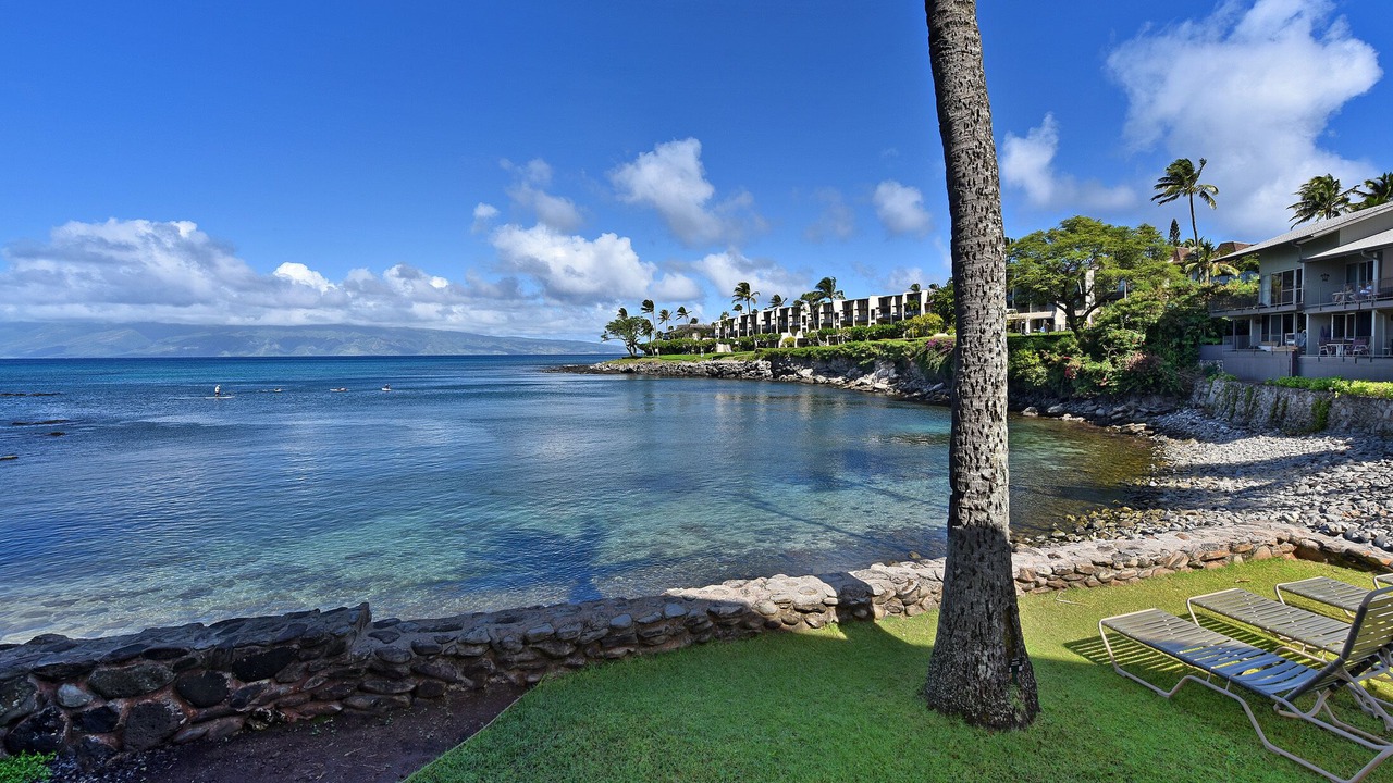 Photo of Outdoor in Napili