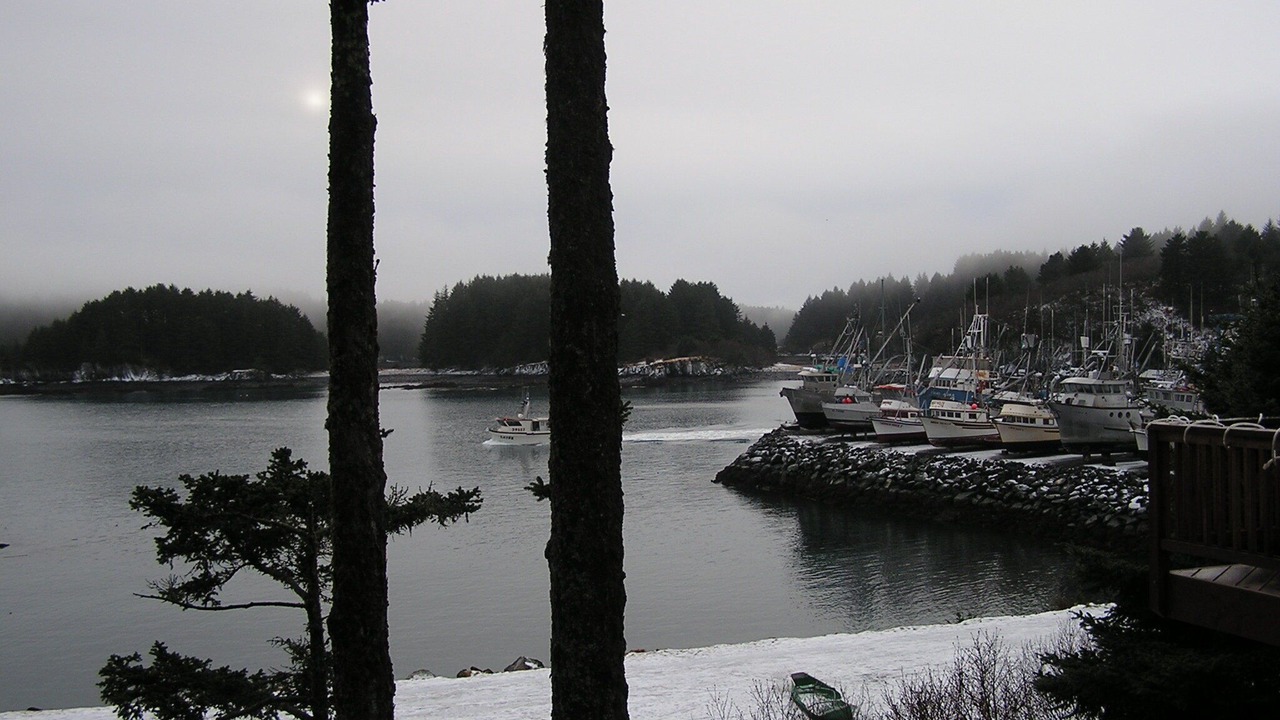 Photo of Others in Kodiak