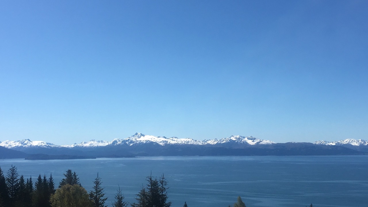 Photo of Others in Homer
