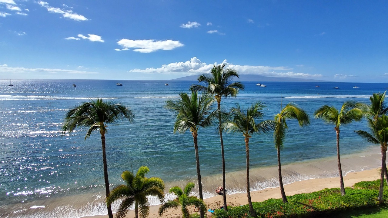 Photo of Others in Historic Lahaina Front Street