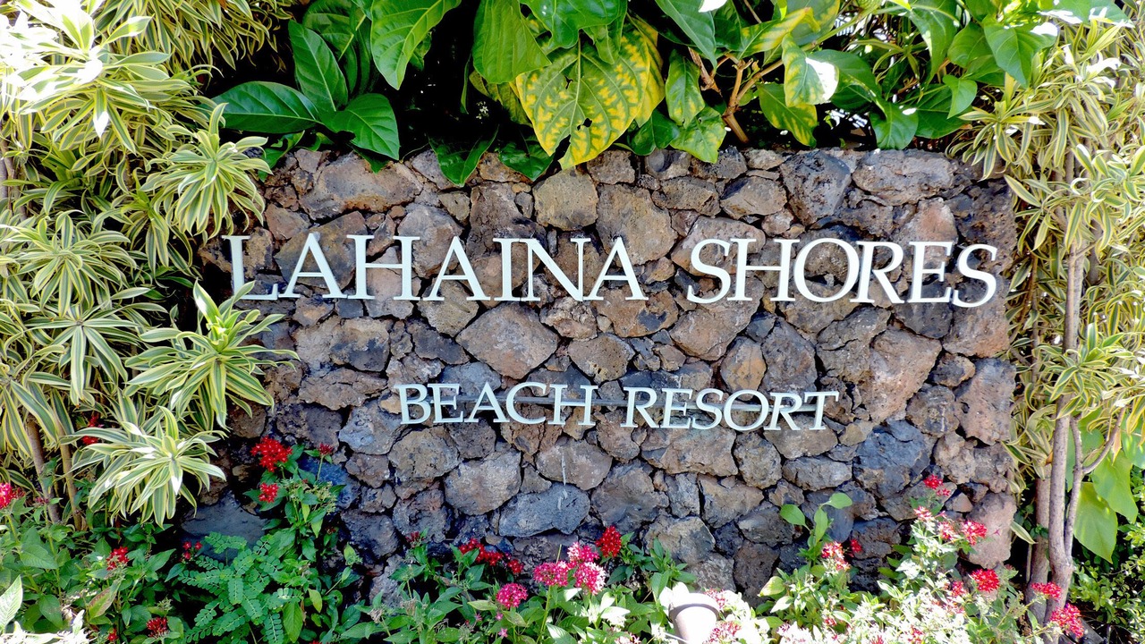 Photo of Others in Historic Lahaina Front Street