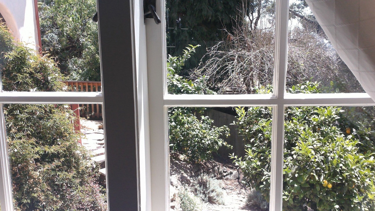 Photo of Others in Berkeley Hills