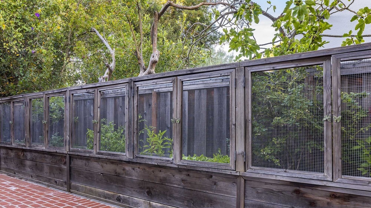 Photo of Outdoor in Old Palo Alto