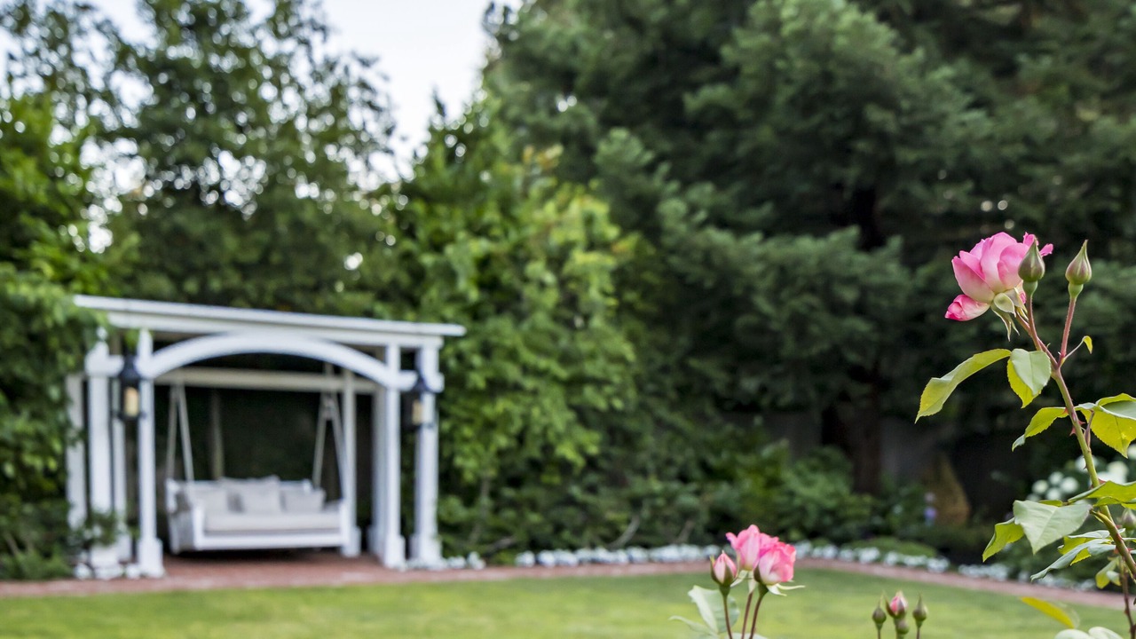 Photo of Outdoor in Old Palo Alto