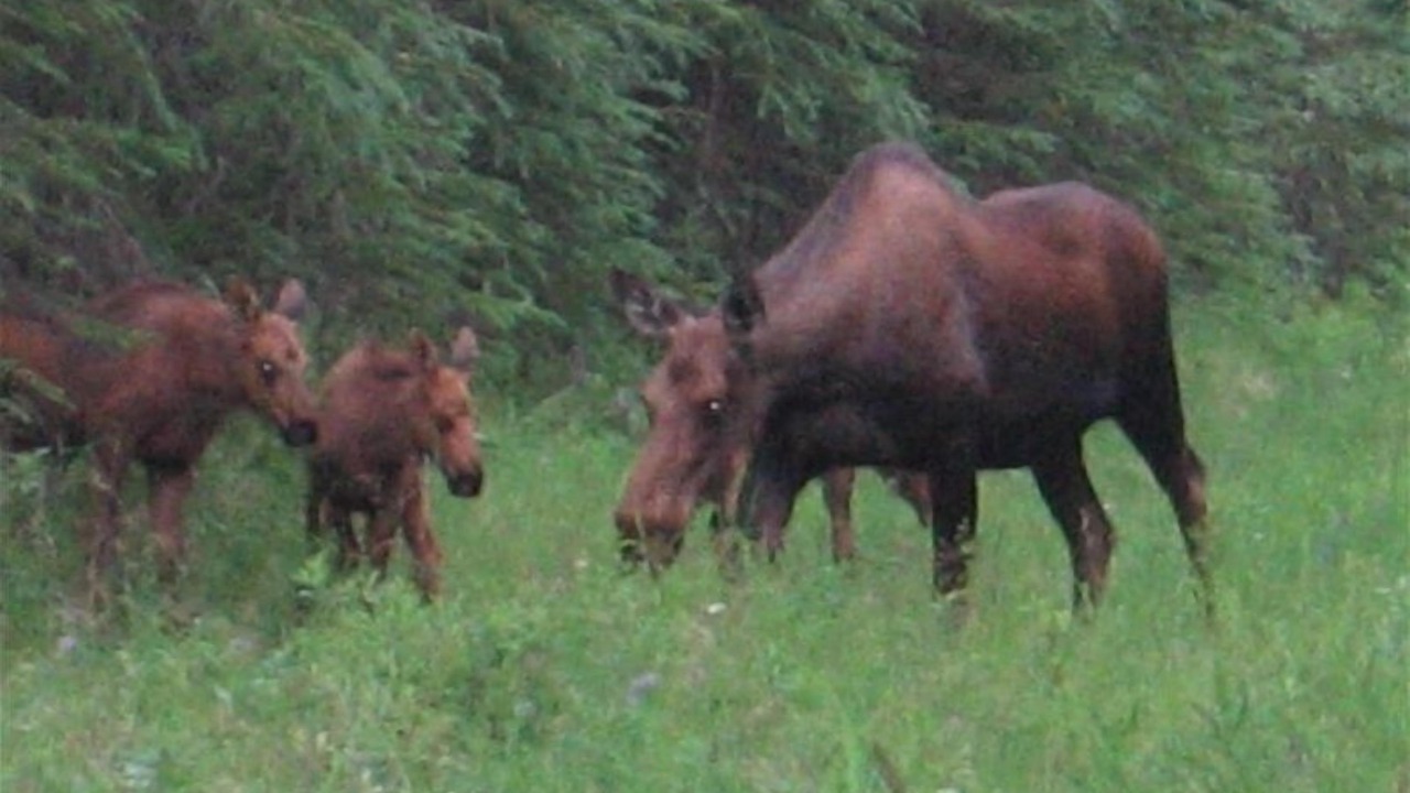 Photo of Others in Sterling