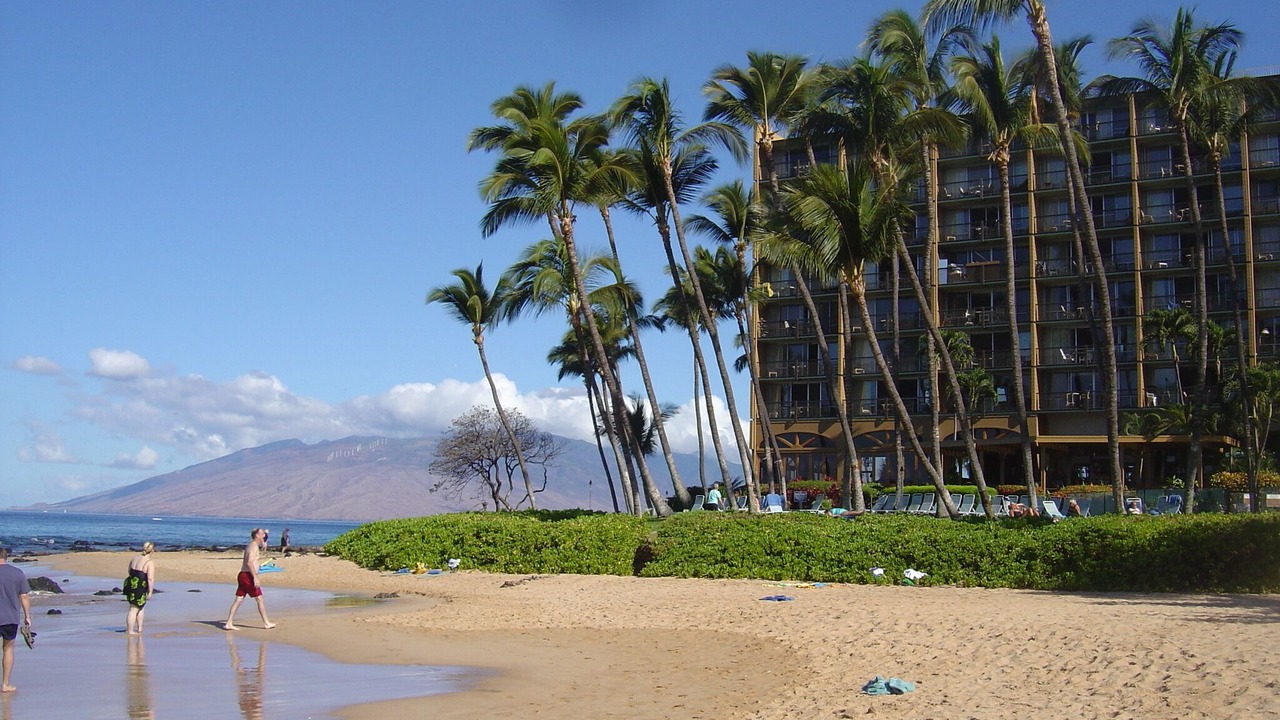 Photo of Others in Kihei