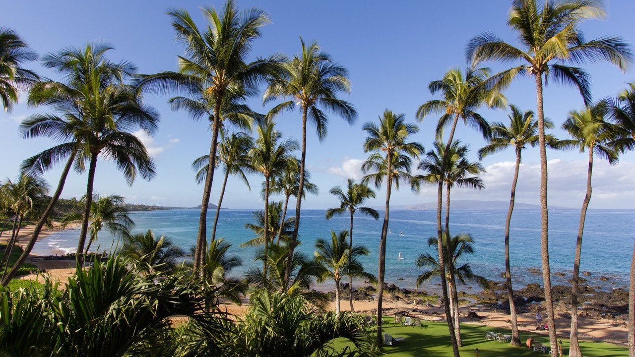 Photo of Others in Kihei