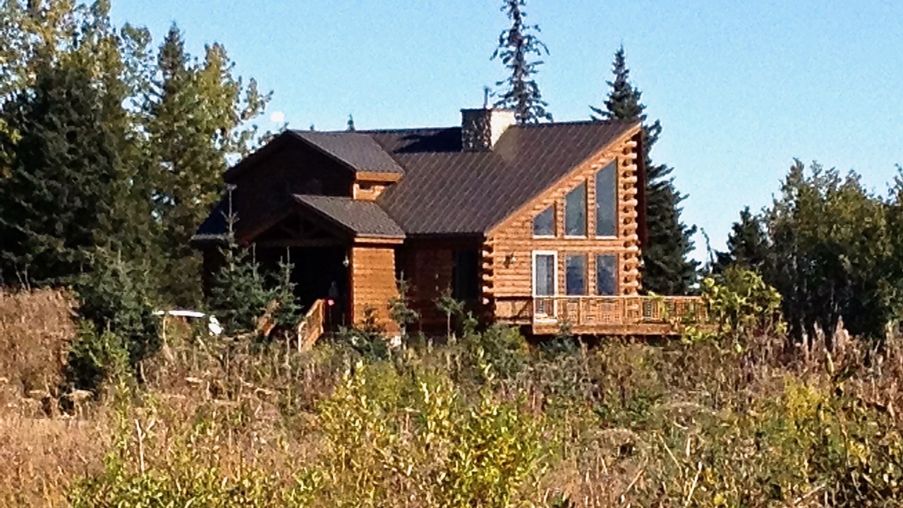 Photo of Outdoor in Homer