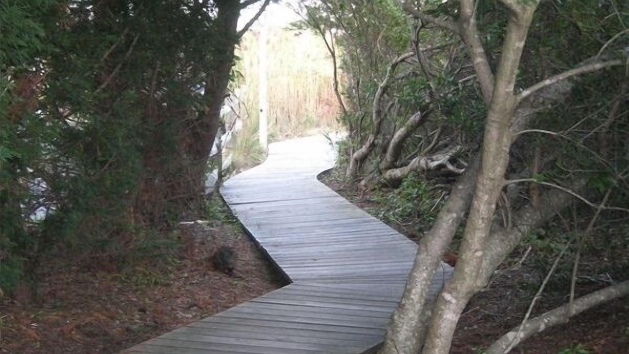 Photo of Others in Fenwick Island