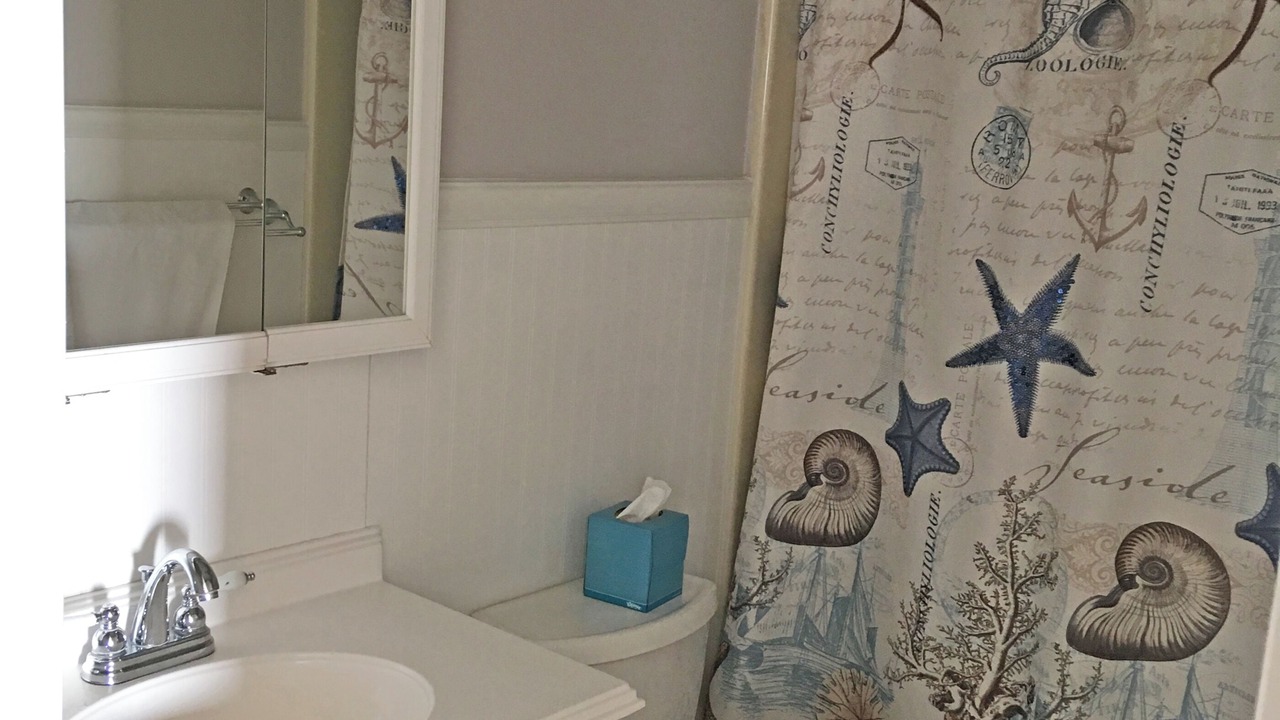 Photo of Bathroom in Broadkill Beach