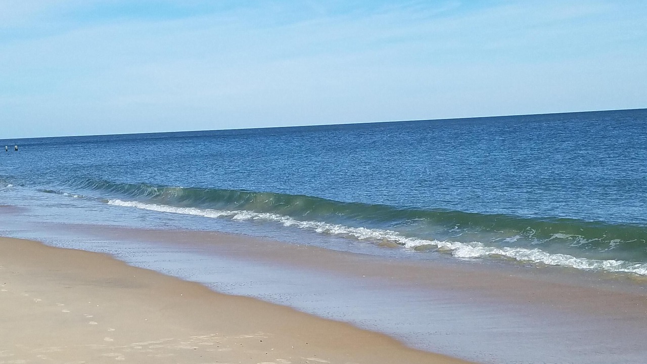 Photo of Others in Rehoboth Beach