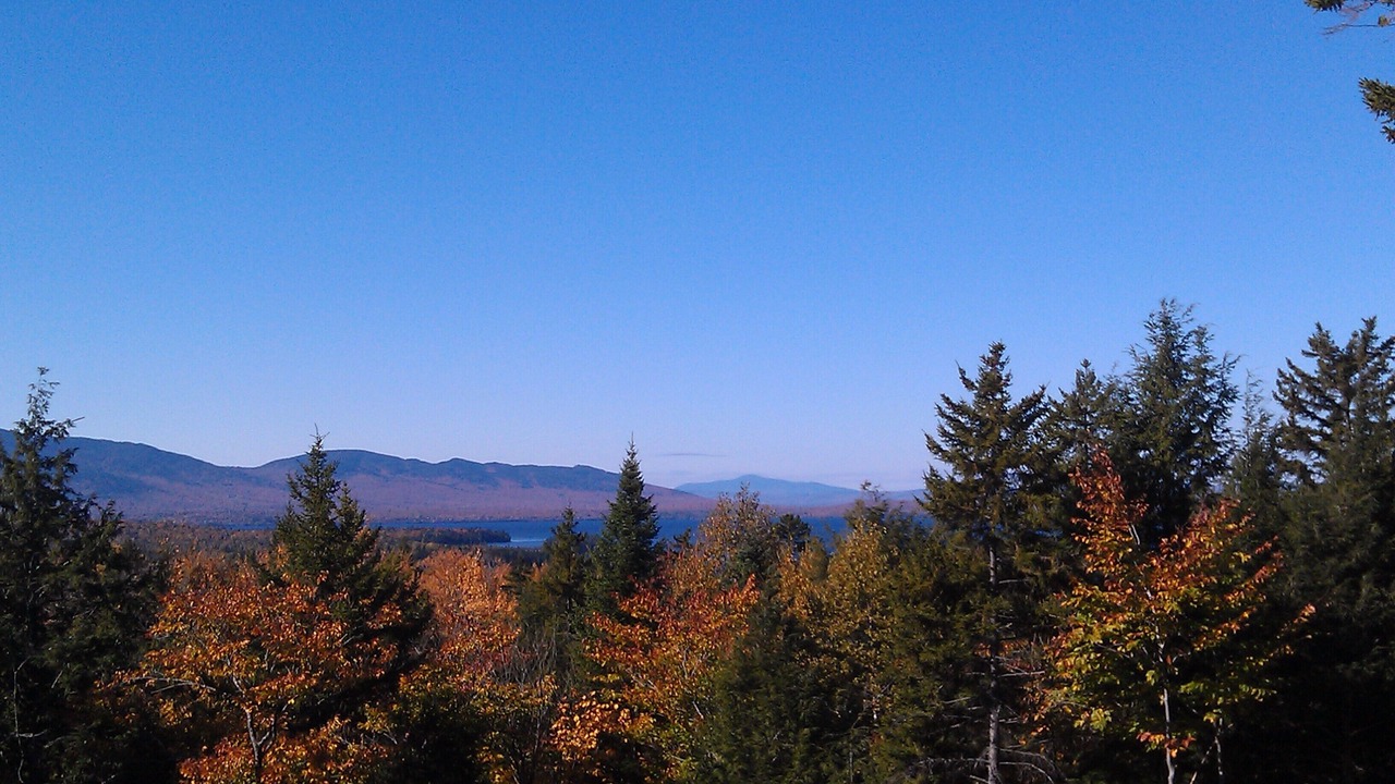 Photo of Outdoor in Beaver Cove