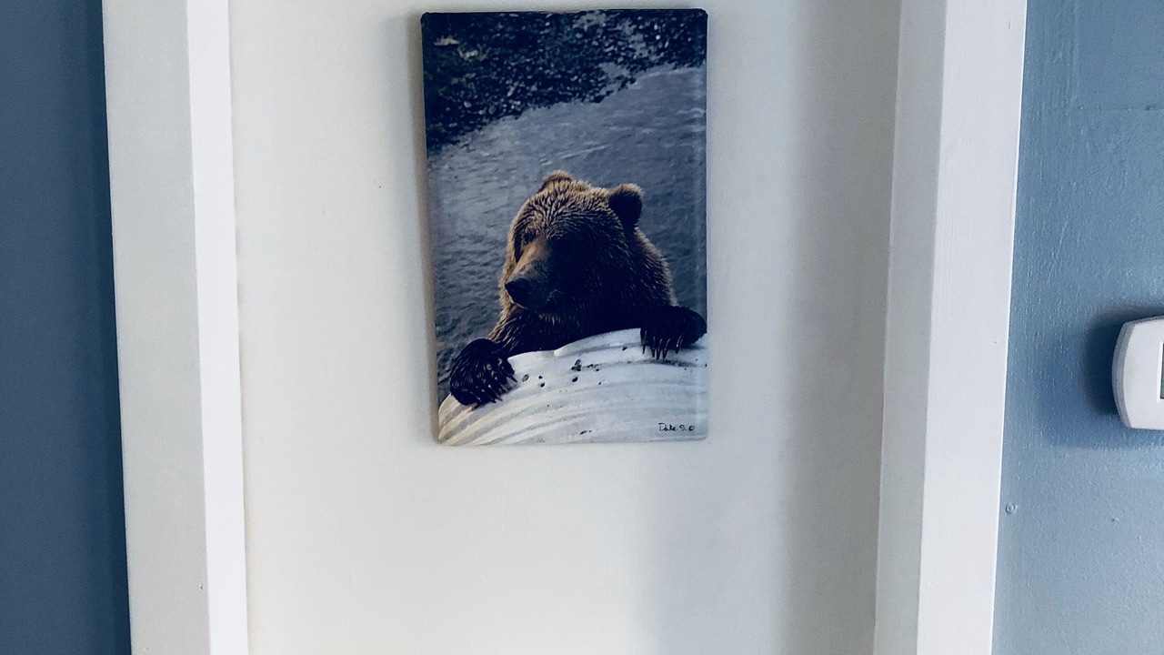 Photo of Others in Kodiak