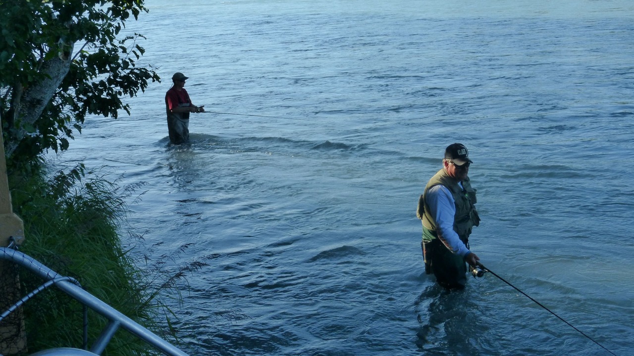 Photo of Others in Soldotna