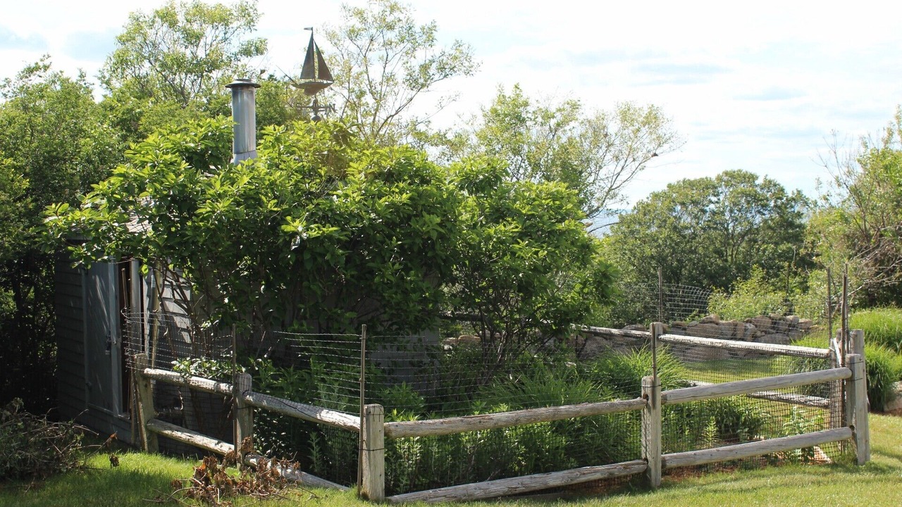 Photo of Others in Block Island