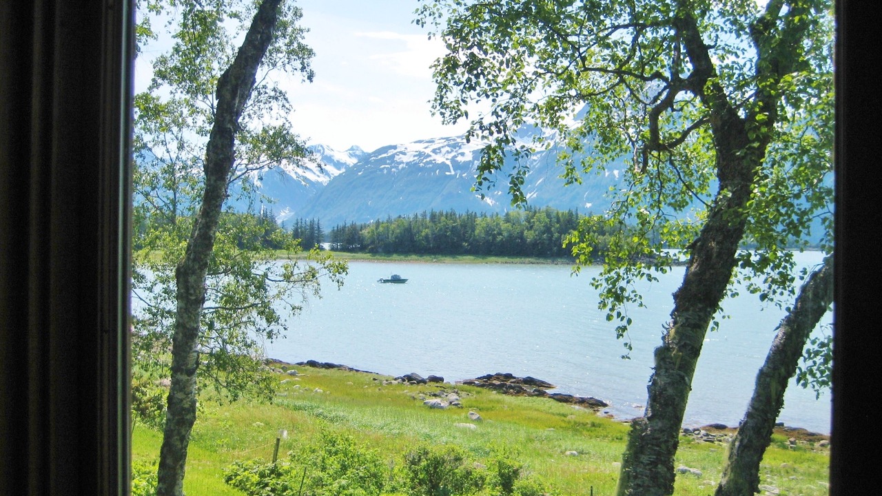 Photo of Others in Mud Bay