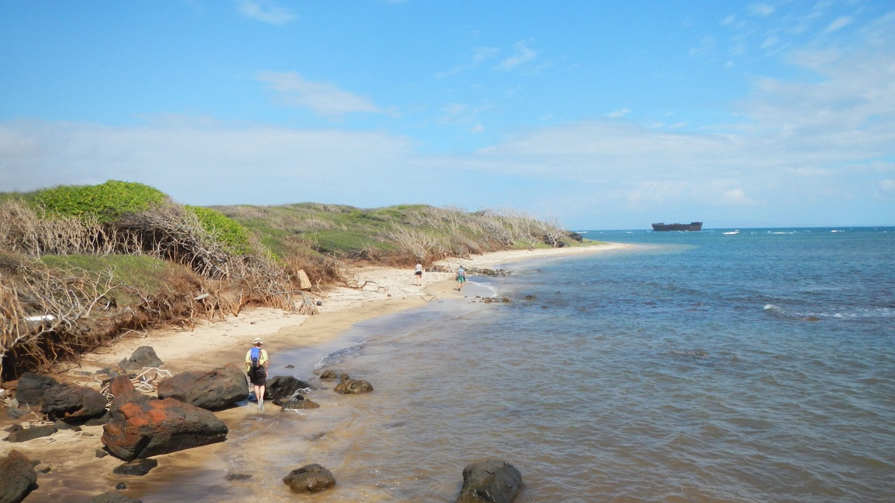 Photo of Others in Lanai City