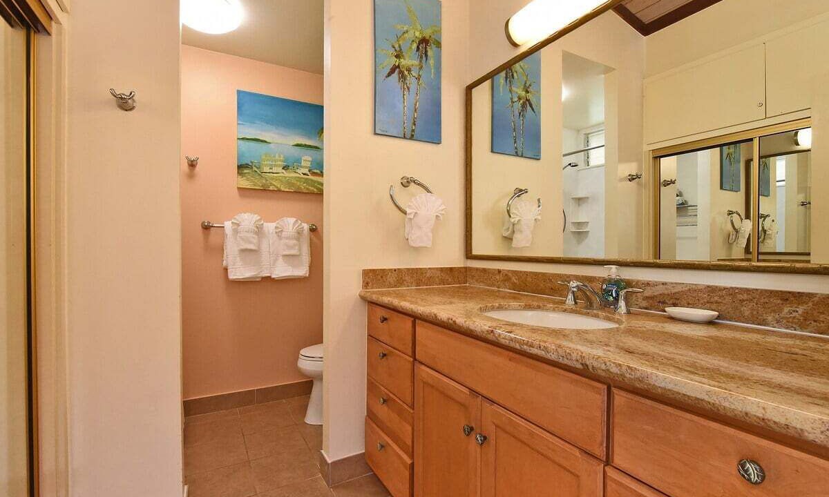 Photo of Bathroom in Napili